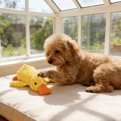 MRWJ 2026 New Yellow Duck Plush Dog Toy - Durable Chew, Interactive Chew with Quacking Sound, Companionship Sleep Pillow for Indoor Play